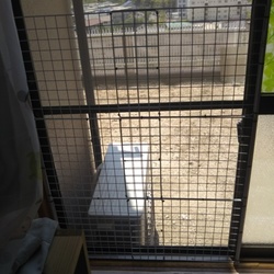 「遅すぎる網戸対策」サムネイル1