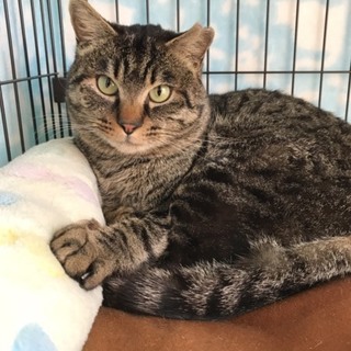 ★トライアルへ！とても大人しくおっとりした男の子！