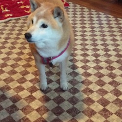 令和お初のお泊り(*˘︶˘*).｡.:*♡