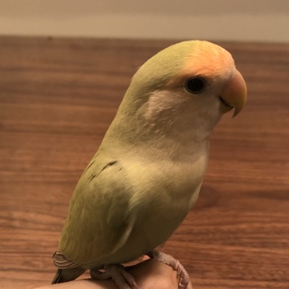 ご応募ありがとうございました！