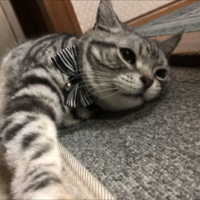 まろん
