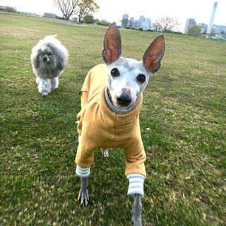 人なつこい男の子