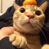ちゃちゃママ