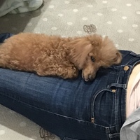 オト