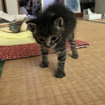 ちょっとヨタヨタしてない⁉︎