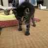 ちょっとヨタヨタしてない⁉︎