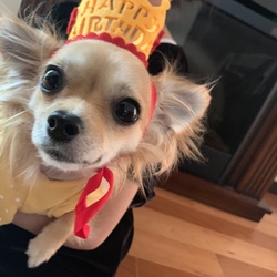 我が家で初★誕生日★