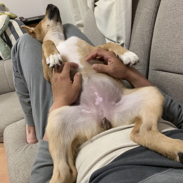 お散歩デビューのち、お風呂上がり(*´ω`*)