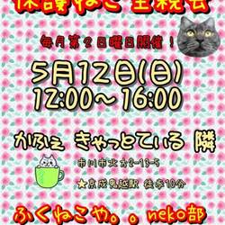 ふくねこや保護ねこ里親会
