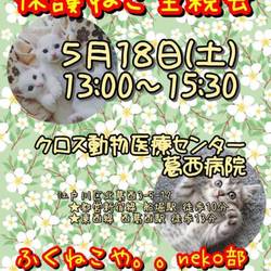 ふくねこや保護ねこ里親会