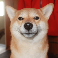 ルル
