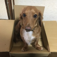 ぐり