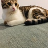 プアママ