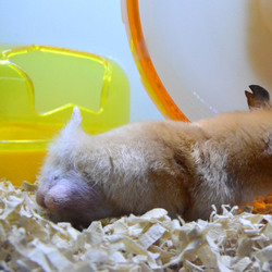 「きんきん月齢4ヶ月」サムネイル2