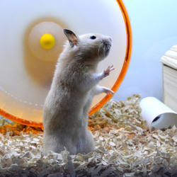 「きんきん月齢4ヶ月」サムネイル3