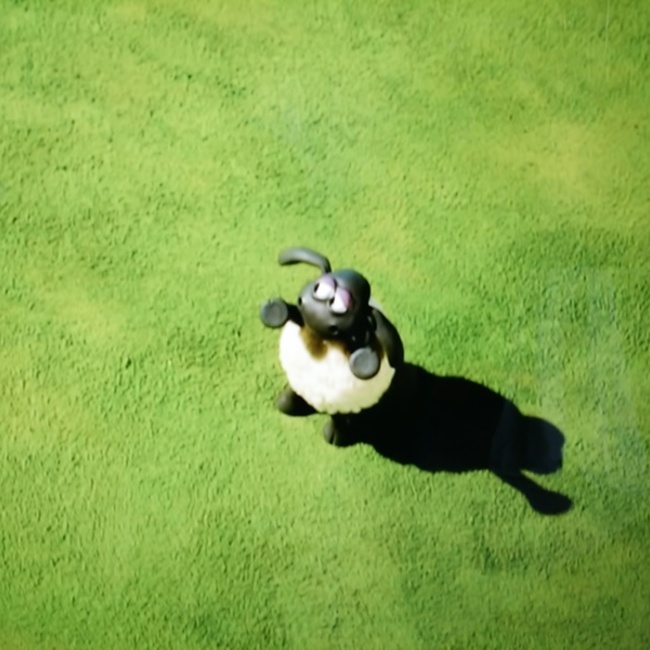 ﾌﾀ時のカバー写真