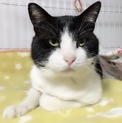 ほっこりほんわか☆ミッツくん☆