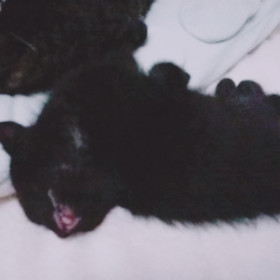 (仮称)黒みつのカバー写真