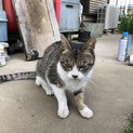 里親募集です！