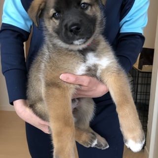 ２ヶ月女の子 ミチル