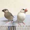 問い合わせ多数の為募集終了させて頂きます。