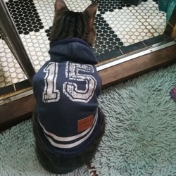 「暖かい日差し」サムネイル2