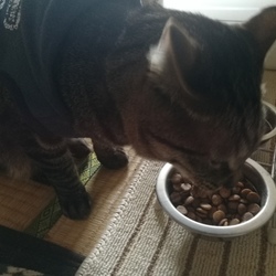 「暖かい日差し」サムネイル3