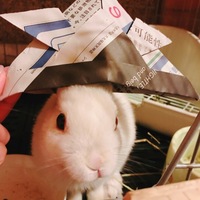 ぼー