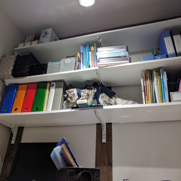 高いとこスキ〜