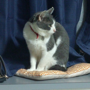 いっちゃん美人さん