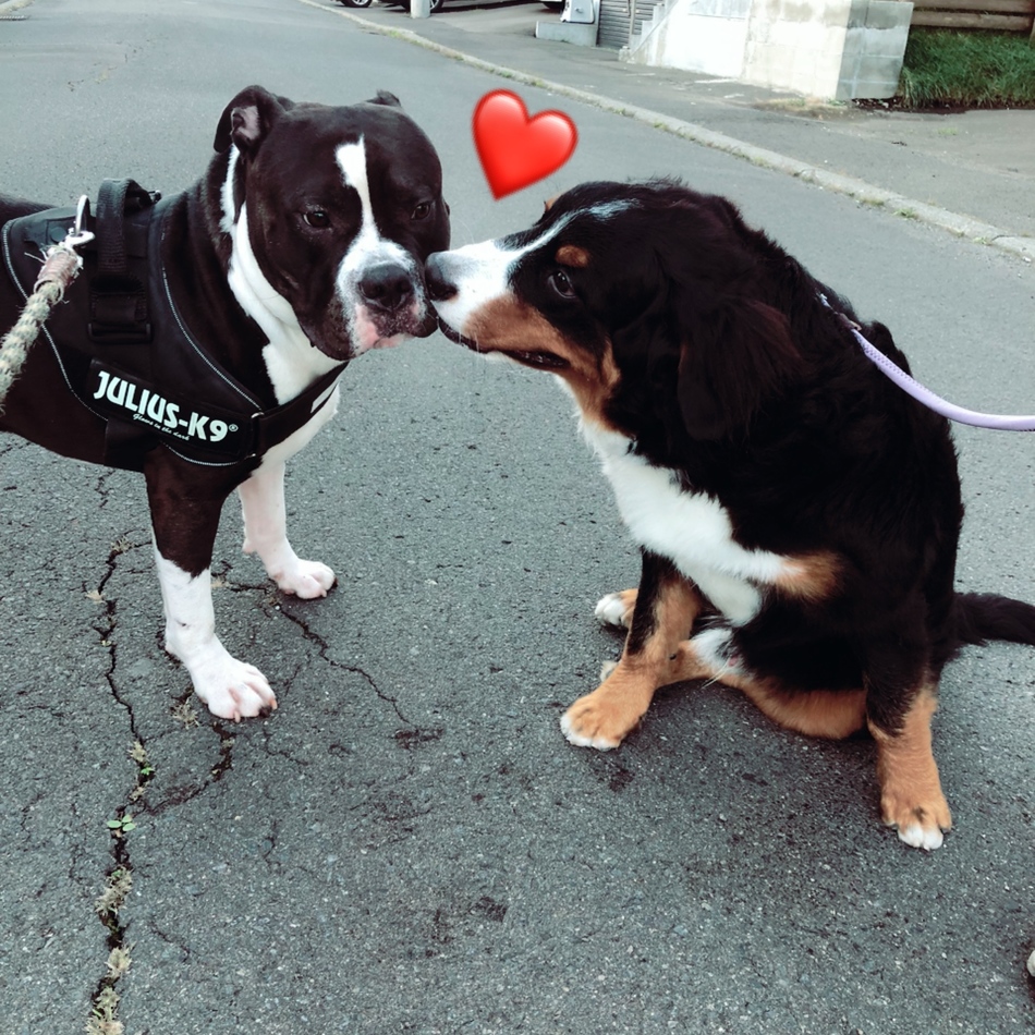 レーヴのカバー写真