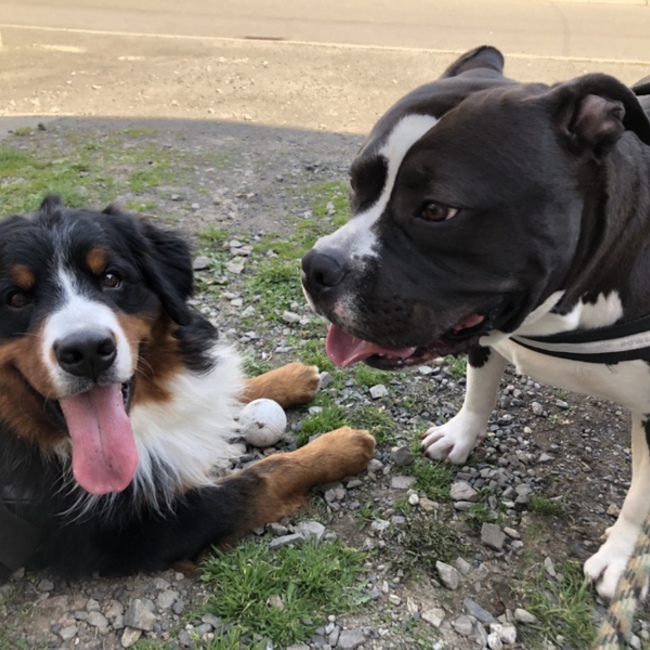 SaYuKのカバー写真