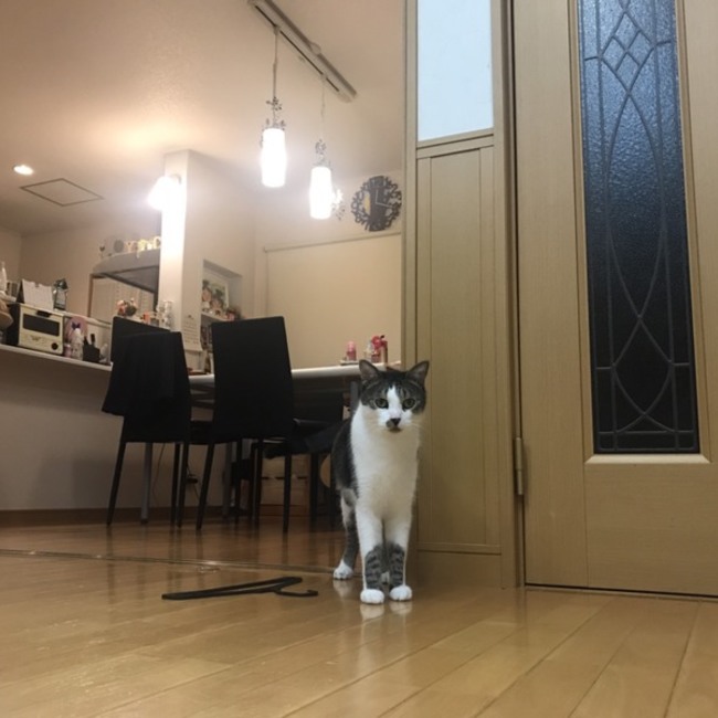sakkyのカバー写真