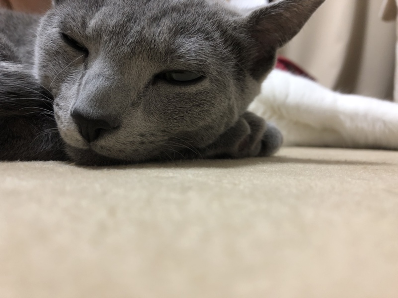 すい