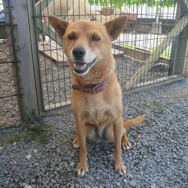 チョコ、えささんちの「もかちゃん」を頼んだよ！