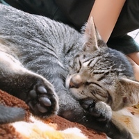 よと