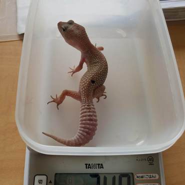 令和元年５月１日　24.0g