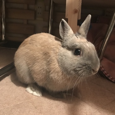 一歳になりました。