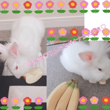 ミルクゎりんごとバナナが大好き♡