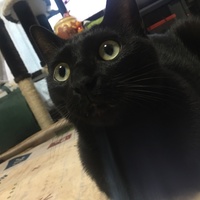 びび