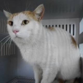 愛護団体様が引き出してくださいました。