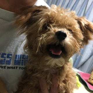 急募です