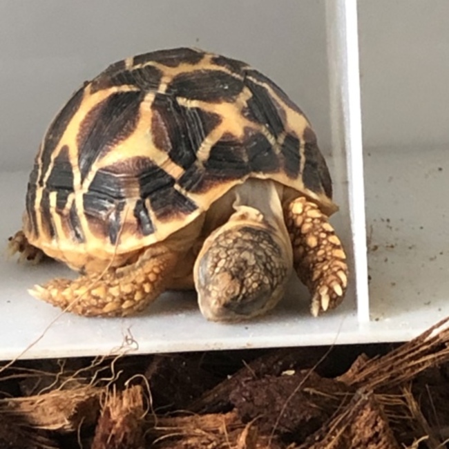 ゆう250のカバー写真