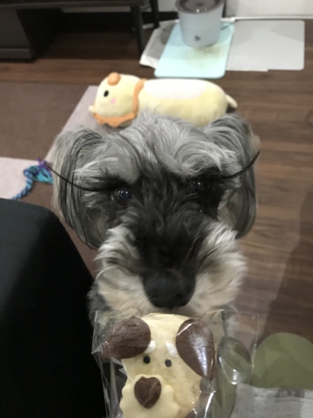 シルヴァ
