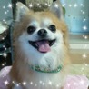 ひめこまち