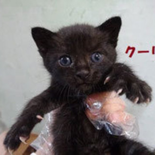 段ボール箱からの出発