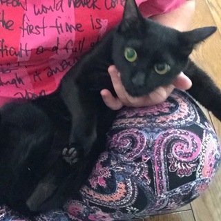 ありがとうございました