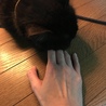 あご乗せ 笑