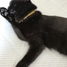 の写真