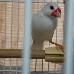 「元気」サムネイル2